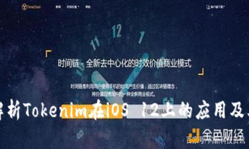 全面解析Tokenim在iOS 12上的应用及其优势