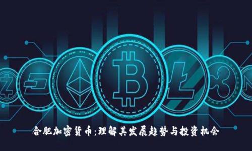 合肥加密货币：理解其发展趋势与投资机会