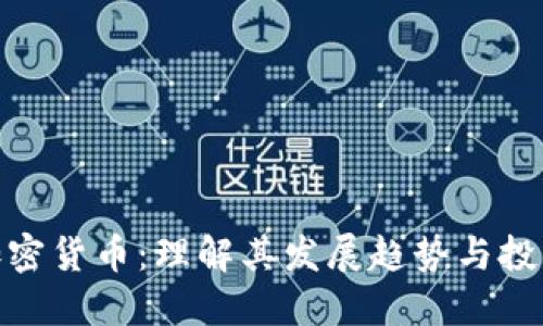 合肥加密货币：理解其发展趋势与投资机会