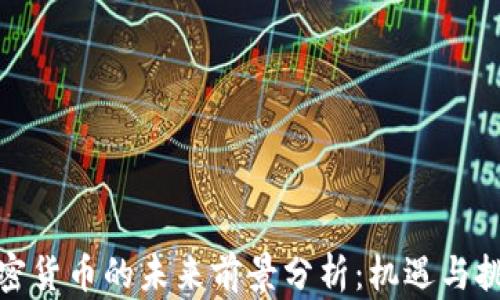 
投资加密货币的未来前景分析：机遇与挑战并存