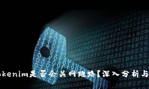 ### Tokenim是否会关网跑路？深入分析与风险评估