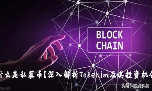 什么是私募币？深入解析Tokenim及其投资机会