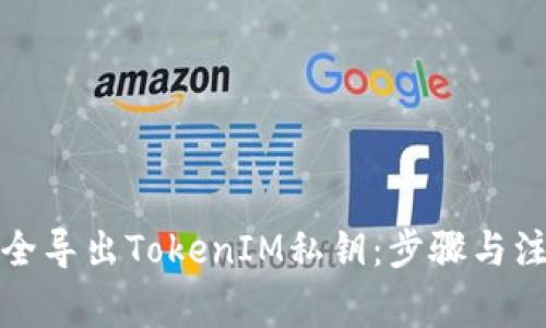 如何安全导出TokenIM私钥：步骤与注意事项
