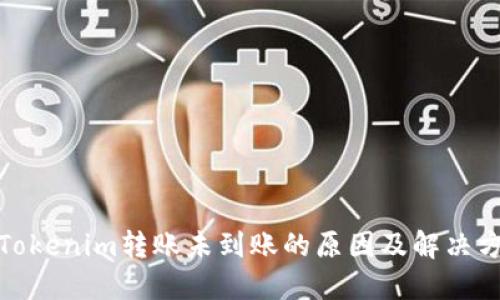 : Tokenim转账未到账的原因及解决方案