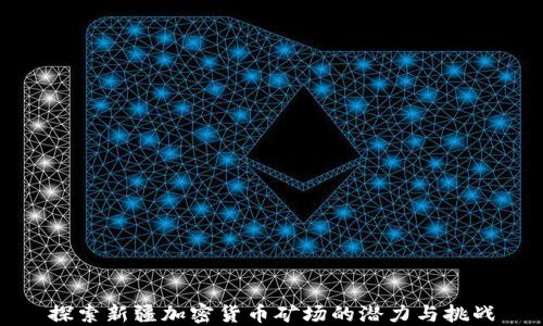 
探索新疆加密货币矿场的潜力与挑战