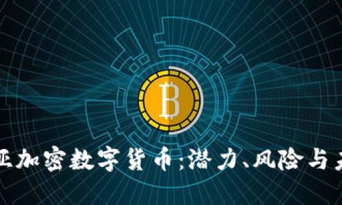 塞尔维亚加密数字货币：潜力、风险与未来发展