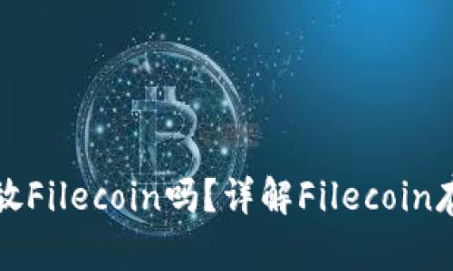 ### Tokenim支持存放Filecoin吗？详解Filecoin存储及Tokenim平台优势