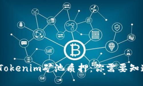 biasituTokenim矿池质押：你需要知道的一切