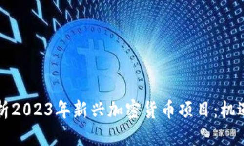 深入分析2023年新兴加密货币项目：机遇与挑战