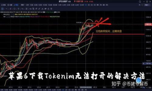 苹果6下载Tokenim无法打开的解决方法