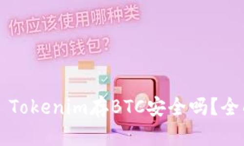 ### Tokenim存BTC安全吗？全面解析