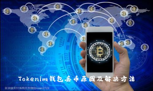 Tokenim钱包丢币原因及解决方法