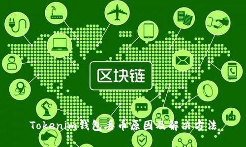Tokenim钱包丢币原因及解决方法