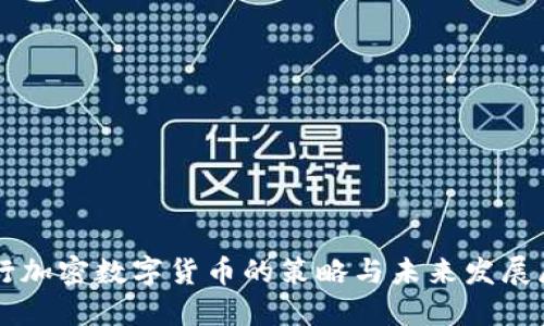 发行加密数字货币的策略与未来发展展望