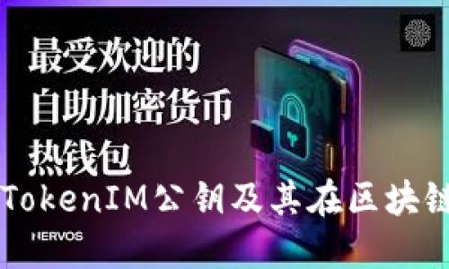 深入探讨TokenIM公钥及其在区块链中的应用