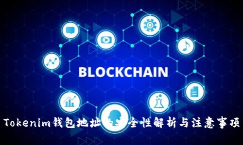 Tokenim钱包地址的安全性解析与注意事项