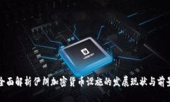 全面解析伊朗加密货币设施的发展现状与前景