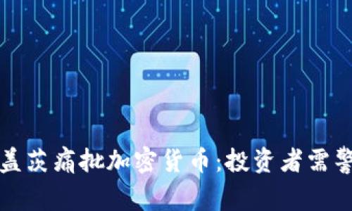 比尔·盖茨痛批加密货币：投资者需警惕风险