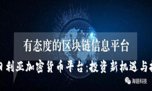 尼日利亚加密货币平台：投资新机遇与挑战