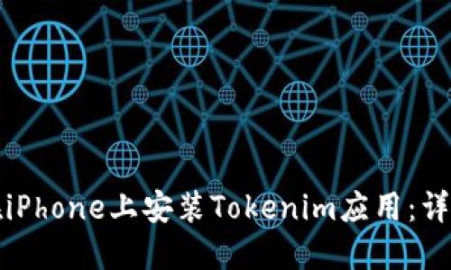 如何在iPhone上安装Tokenim应用：详尽指南