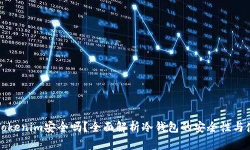 冷钱包Tokenim安全吗？全面解析冷钱包的安全性与使用指南