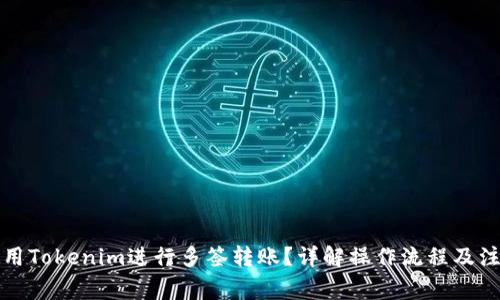 如何使用Tokenim进行多签转账？详解操作流程及注意事项