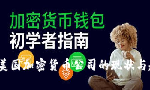 2023年美国加密货币公司的现状与趋势分析