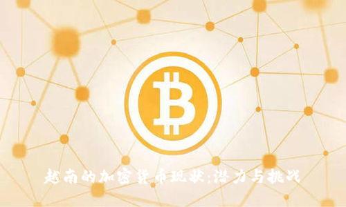 越南的加密货币现状：潜力与挑战