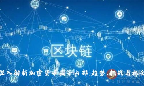 深入解析加密货币圈子内部：趋势、挑战与机会