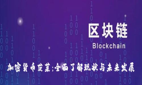 加密货币菠菜：全面了解现状与未来发展