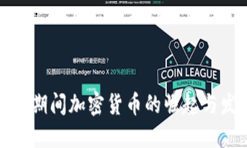 疫情期间加密货币的崛起与发展
