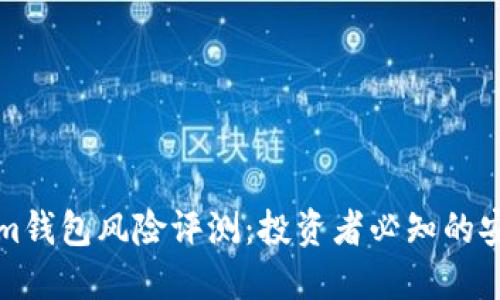 Tokenim钱包风险评测：投资者必知的安全指南