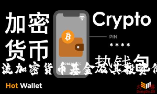 12种主流加密货币基金及其投资价值分析