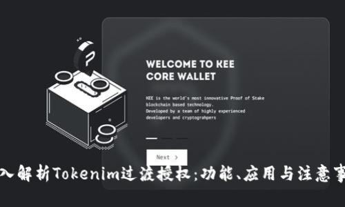 深入解析Tokenim过渡授权：功能、应用与注意事项