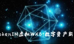 深入了解TokenIM虚拟WXB：数