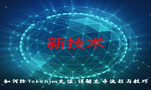 如何给Tokenim充值：详解充币流程与技巧