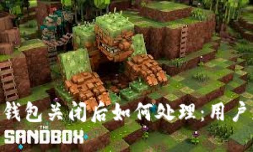 Tokenim钱包关闭后如何处理：用户应对指南