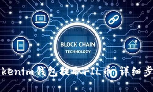如何在Tokenim钱包提取FIL币：详细步骤与指南