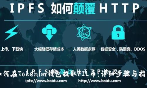 如何在Tokenim钱包提取FIL币：详细步骤与指南