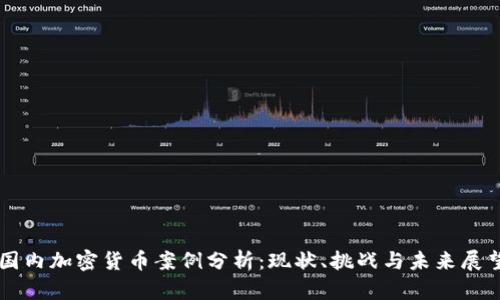 国内加密货币案例分析：现状、挑战与未来展望