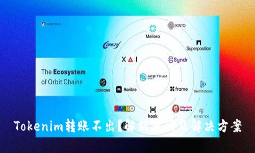 Tokenim转账不出？解析原因及解决方案