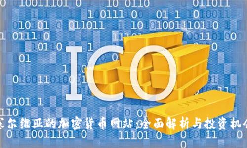 塞尔维亚的加密货币网站：全面解析与投资机会