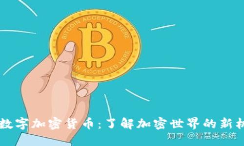 CA数字加密货币：了解加密世界的新机会