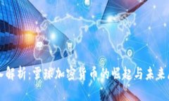 深入解析：雪球加密货币