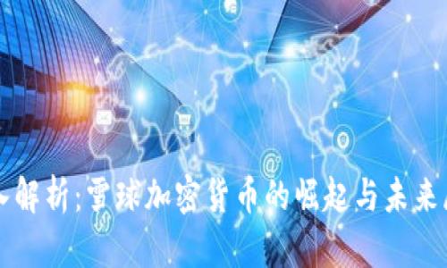 深入解析：雪球加密货币的崛起与未来展望