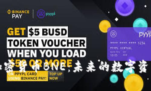 深入解析加密货币BNE：未来的数字资产投资选择
