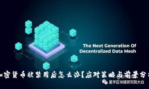 加密货币被禁用后怎么办？应对策略与前景分析