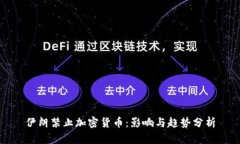 伊朗禁止加密货币：影响