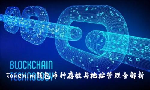 Tokenim钱包币种存放与地址管理全解析