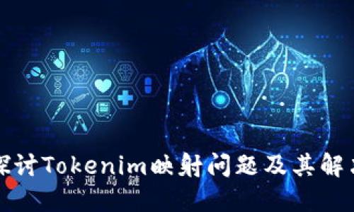 深入探讨Tokenim映射问题及其解决方案